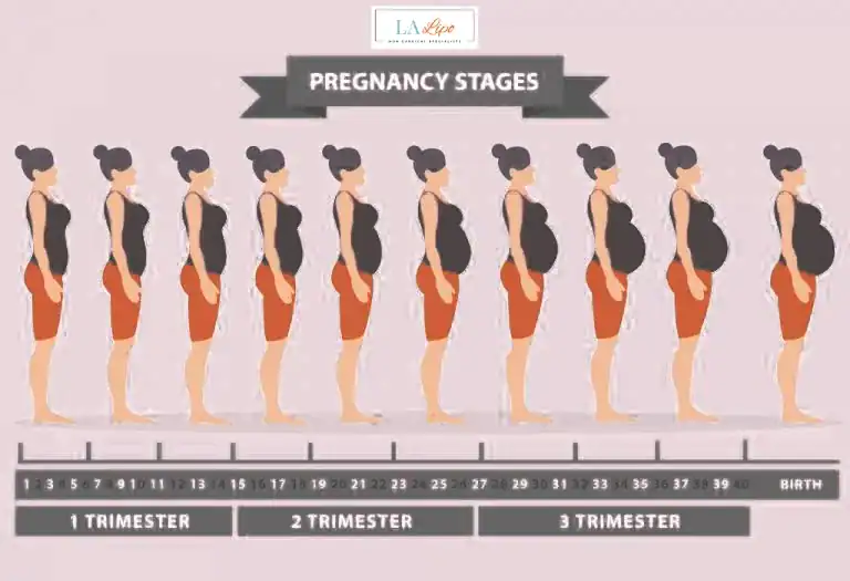First Trimester (Weeks 1–12): Early Changes You Might Not Notice Weybridge
